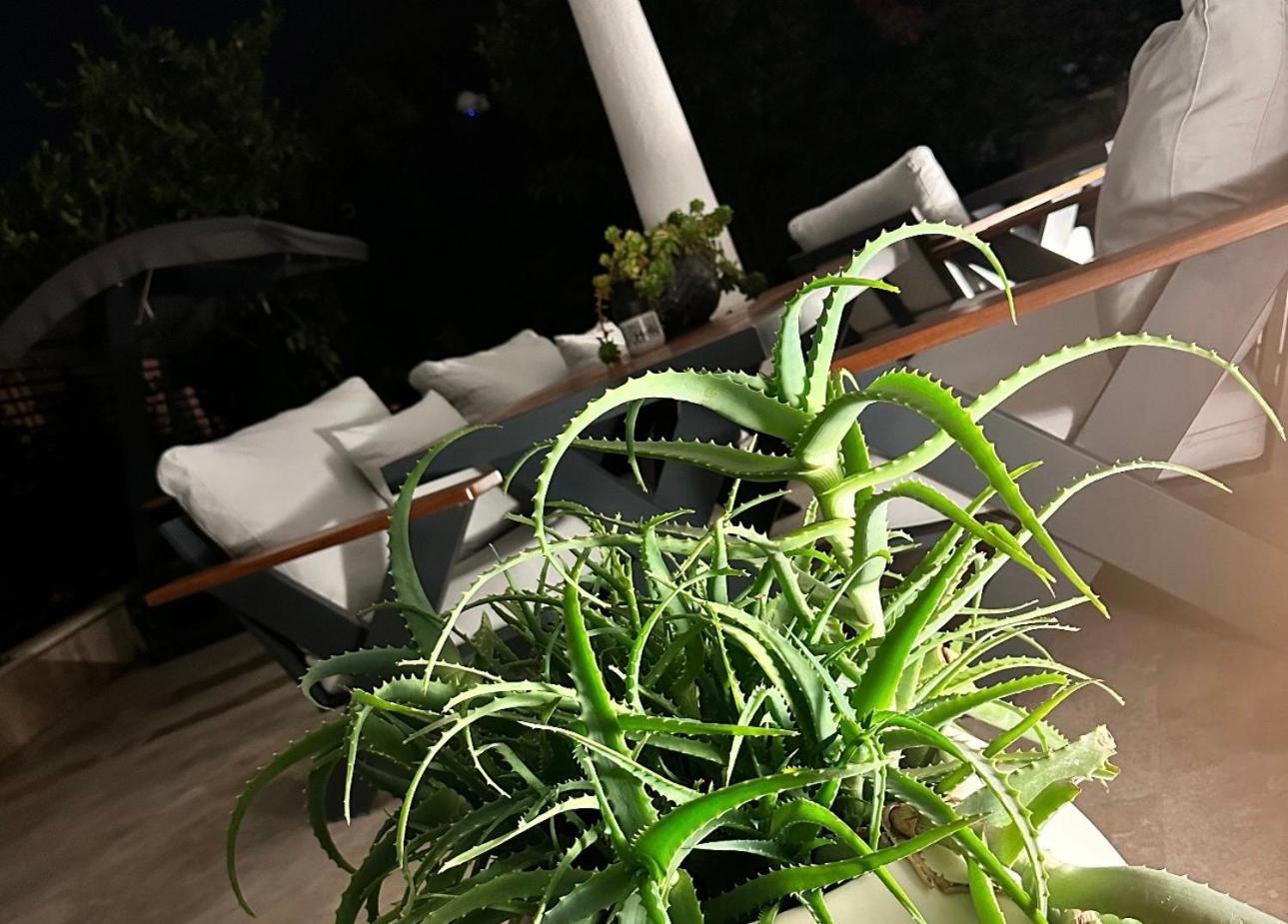 Noa Suite Hotel Only Adult Bodrum Kültér fotó